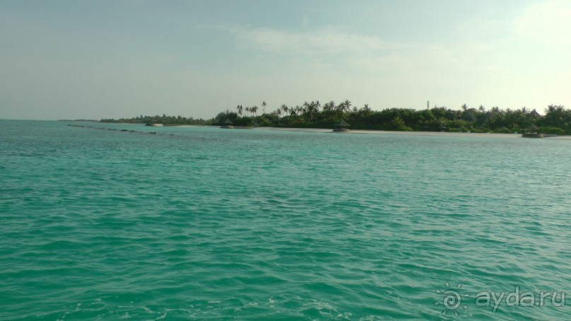 Остров Олувели. Впечатления моего друга.