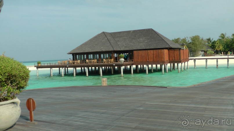 Остров Олувели. Впечатления моего друга.