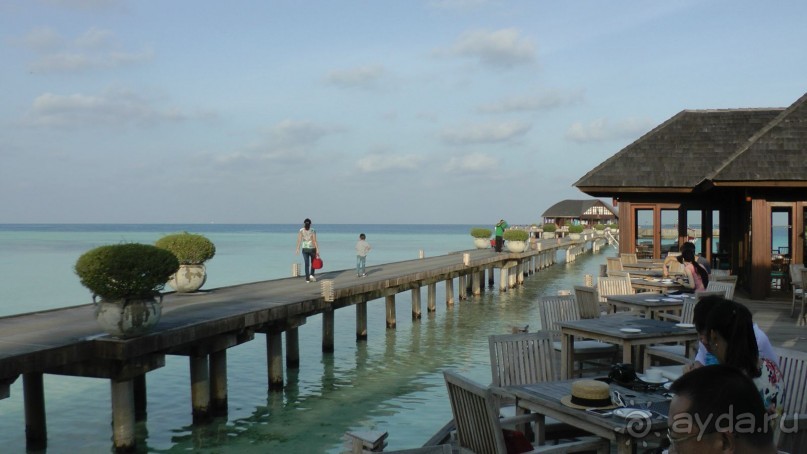 Остров Олувели. Впечатления моего друга.