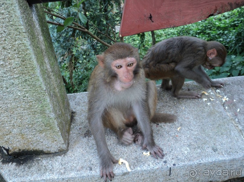 Отдых на о.Хайнань