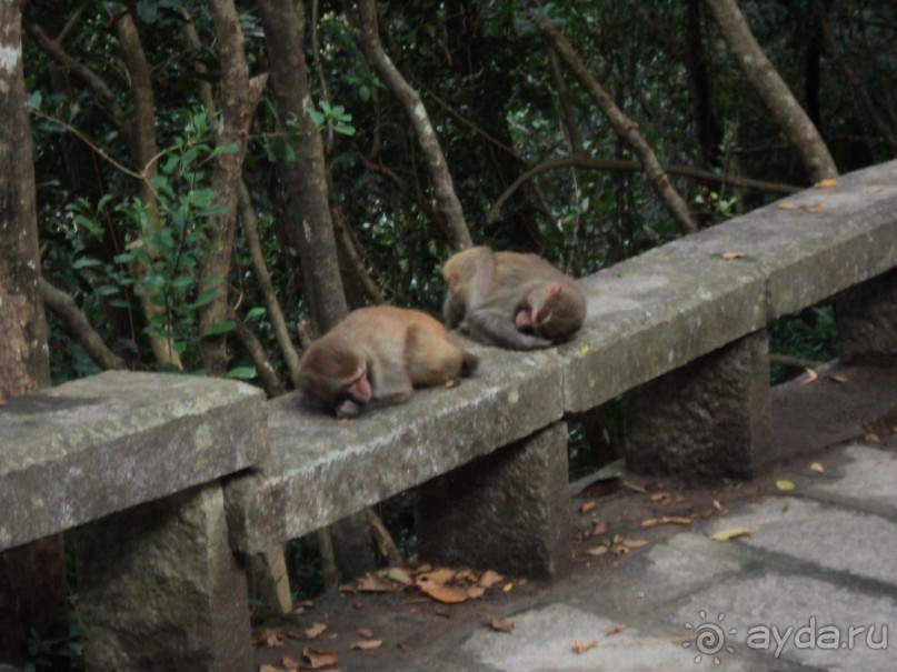 Отдых на о.Хайнань