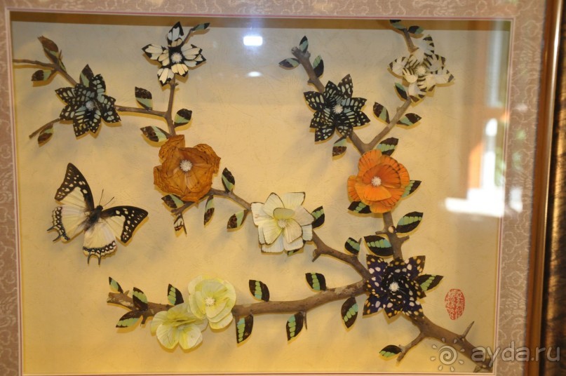 Отдых на о.Хайнань