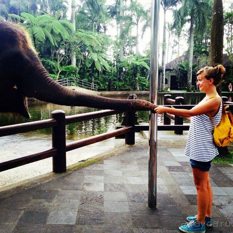 Парк слонов