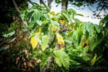 Секреты интересного досуга