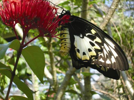 Секреты интересного досуга