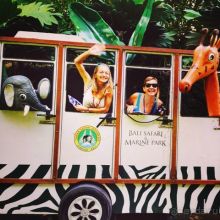 Альбом отзыва "В мире животных или Сафари по-балийски"