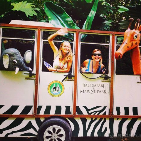 В мире животных или Сафари по-балийски