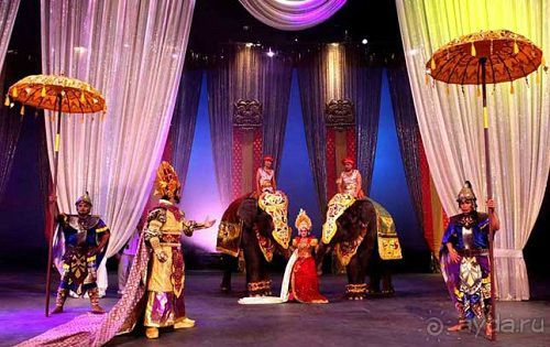 В мире животных или Сафари по-балийски