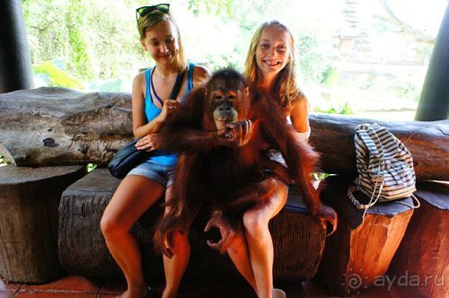 В мире животных или Сафари по-балийски