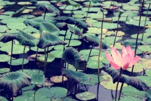 Отпуск на Бали — что нужно знать и как сэкономить?