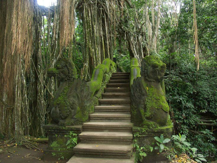 Курорты Бали