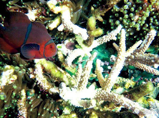 Бали: куда сходить и что посмотреть