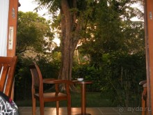 отличный вид,обслуживание,дружелюбие персонала,полный позитив.