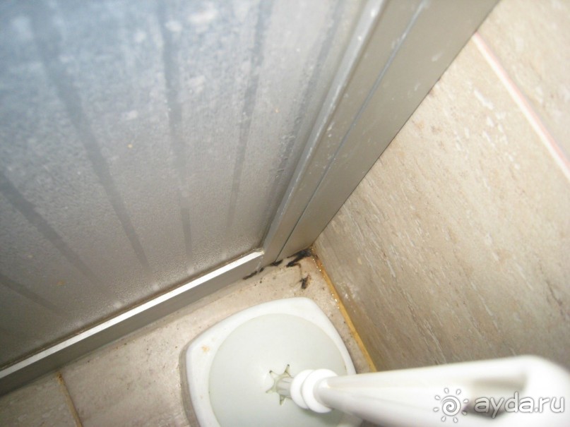 Отдых в аду