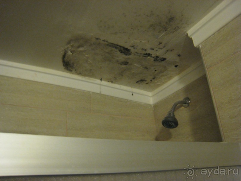 Отдых в аду