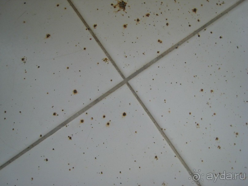 Отдых в аду