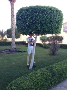 фото Sunny Days Palma De Mirette Resort