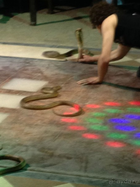 фото Sunny Days Palma De Mirette Resort