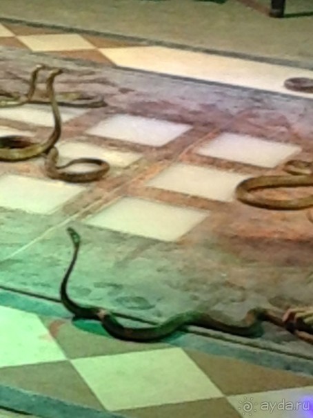 фото Sunny Days Palma De Mirette Resort