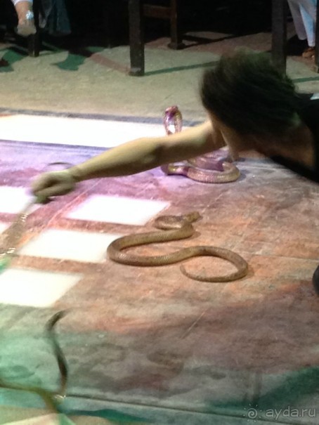 фото Sunny Days Palma De Mirette Resort