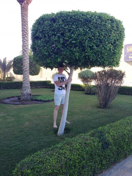 фото Sunny Days Palma De Mirette Resort