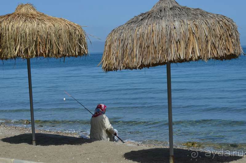 Кушадасы. Отель Фаустина