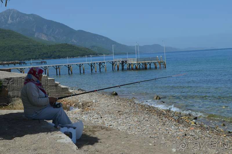 Кушадасы. Отель Фаустина