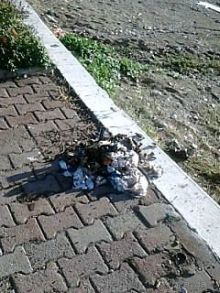 Критические заметки об Анталии.