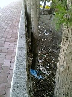 Критические заметки об Анталии.