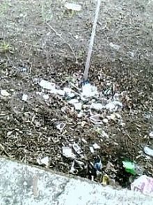 Критические заметки об Анталии.