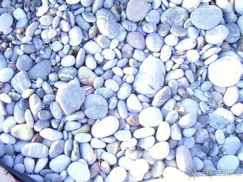 Очень хороший отель 