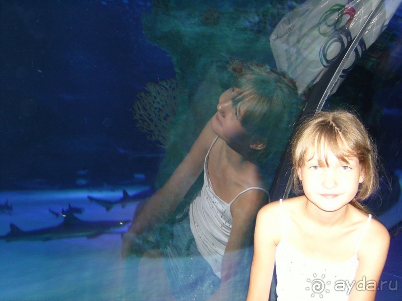 Очень хороший отель 