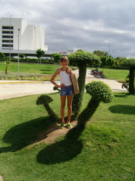 Очень хороший отель 