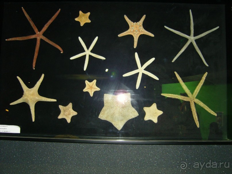 Очень хороший отель 