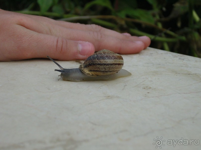 Очень хороший отель 