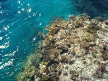 «Благодарность за хороший отдых. ليوبوف بيريوزأ »