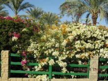 Рекомендую, особенно с детьми любого возраста.