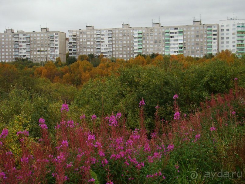 Прекрасные места.