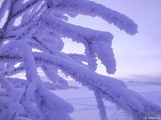 Прекрасные места.