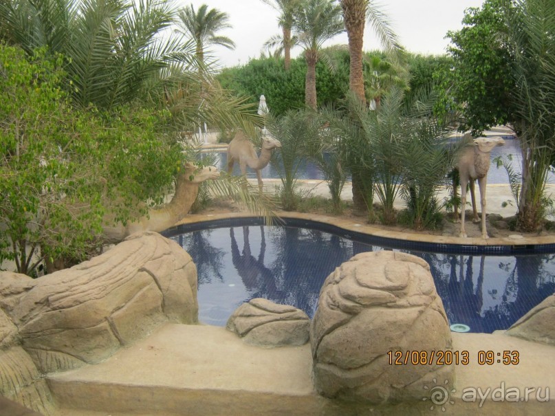 фото Sheraton Sharm Hotel, Resort, Villas & Spa
