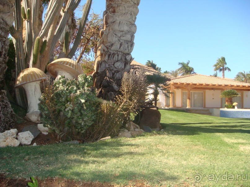 фото Sheraton Sharm Hotel, Resort, Villas & Spa