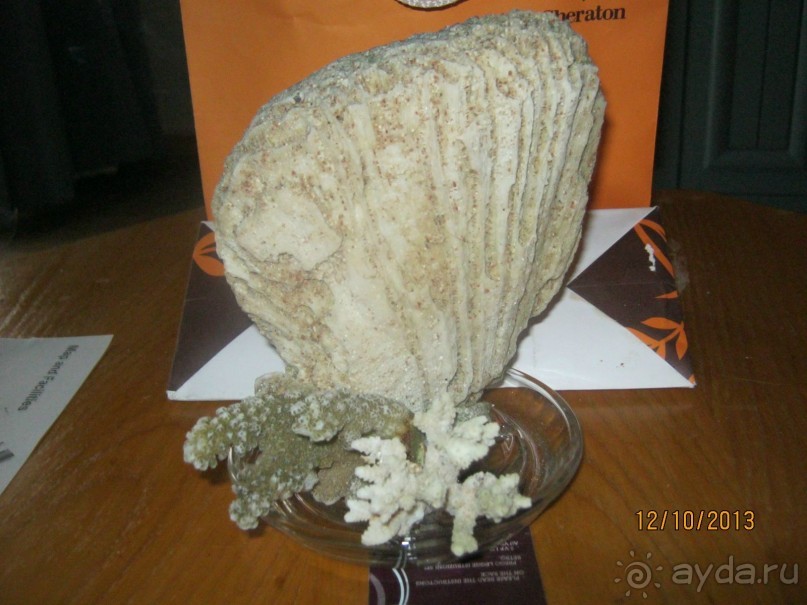 фото Sheraton Sharm Hotel, Resort, Villas & Spa