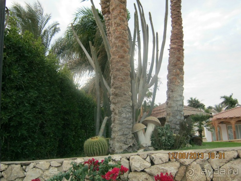 фото Sheraton Sharm Hotel, Resort, Villas & Spa