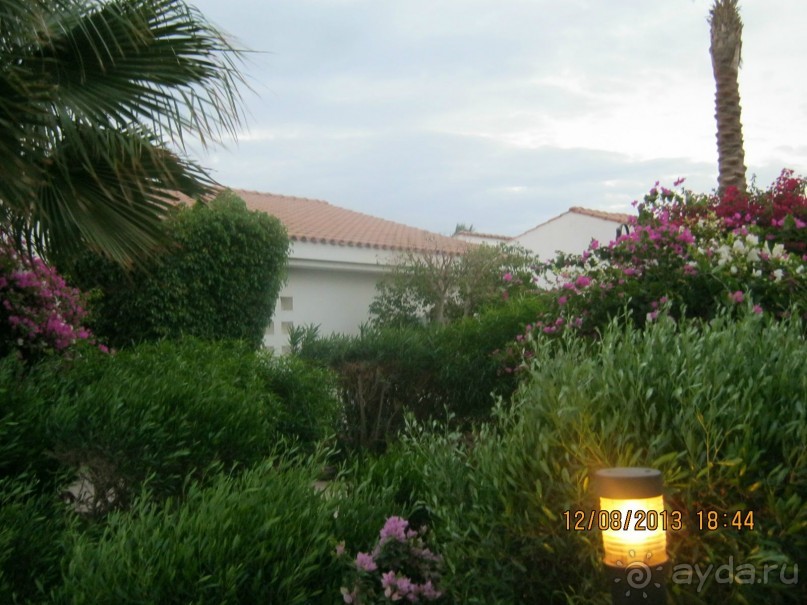 фото Sheraton Sharm Hotel, Resort, Villas & Spa