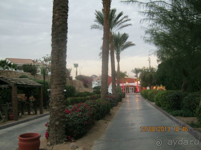 фото Sheraton Sharm Hotel, Resort, Villas & Spa