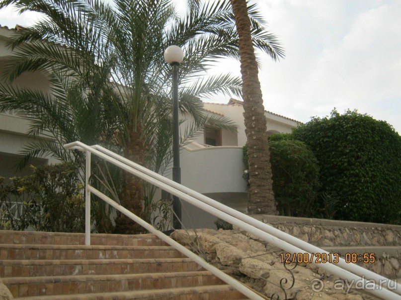 фото Sheraton Sharm Hotel, Resort, Villas & Spa