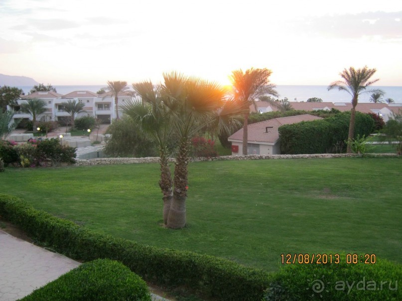 фото Sheraton Sharm Hotel, Resort, Villas & Spa