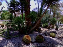 Были с детками - понравилось. 