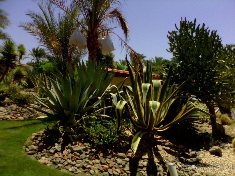 Были с детками - понравилось. 