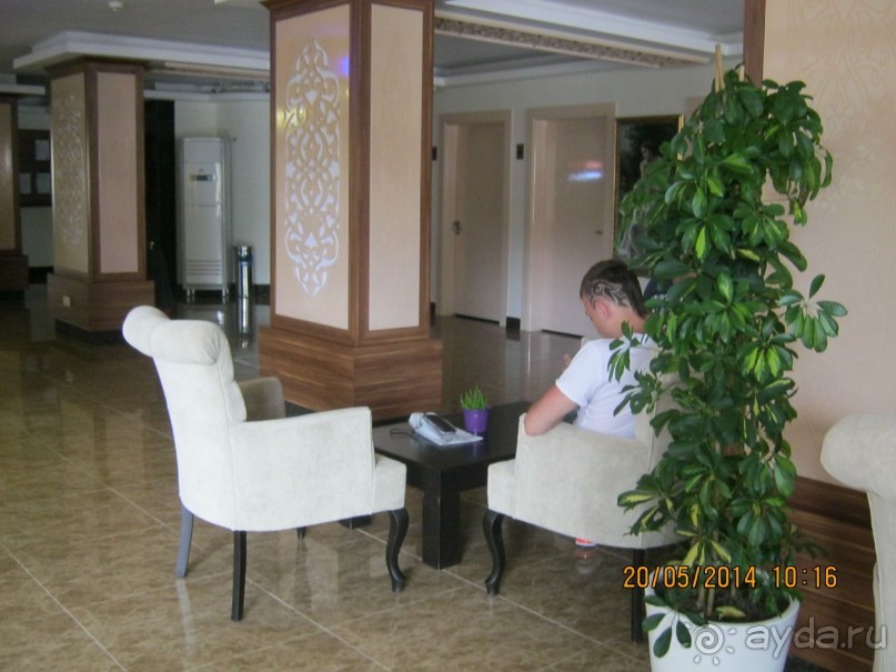 фото Бамбука